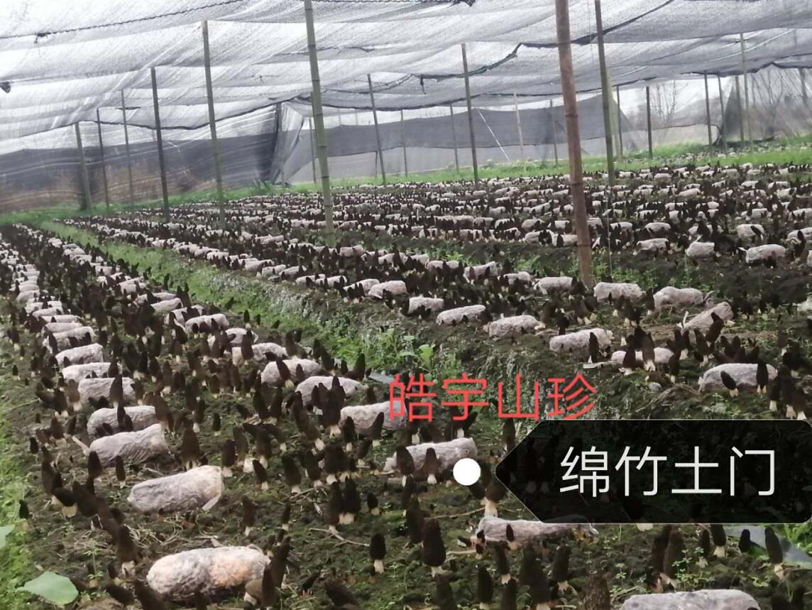 &#20061;&#28216;&#23448;&#26041;&#32593;&#39029;&#29256;&#45;&#20061;&#28216;&#40;&#20013;&#22269;&#41;