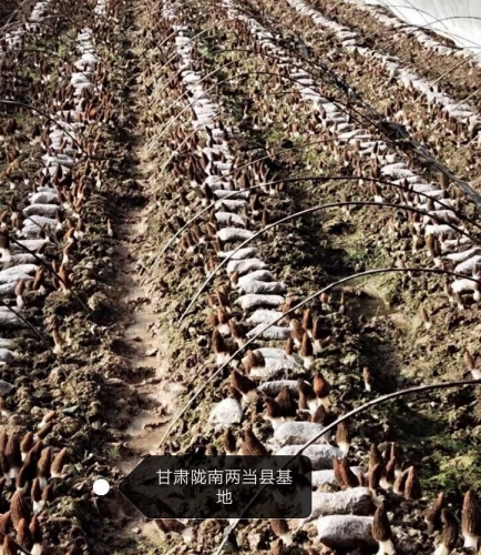 &#20061;&#28216;&#23448;&#26041;&#32593;&#39029;&#29256;&#45;&#20061;&#28216;&#40;&#20013;&#22269;&#41;