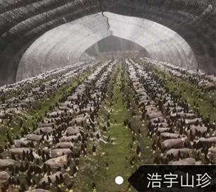 &#20061;&#28216;&#23448;&#26041;&#32593;&#39029;&#29256;&#45;&#20061;&#28216;&#40;&#20013;&#22269;&#41;