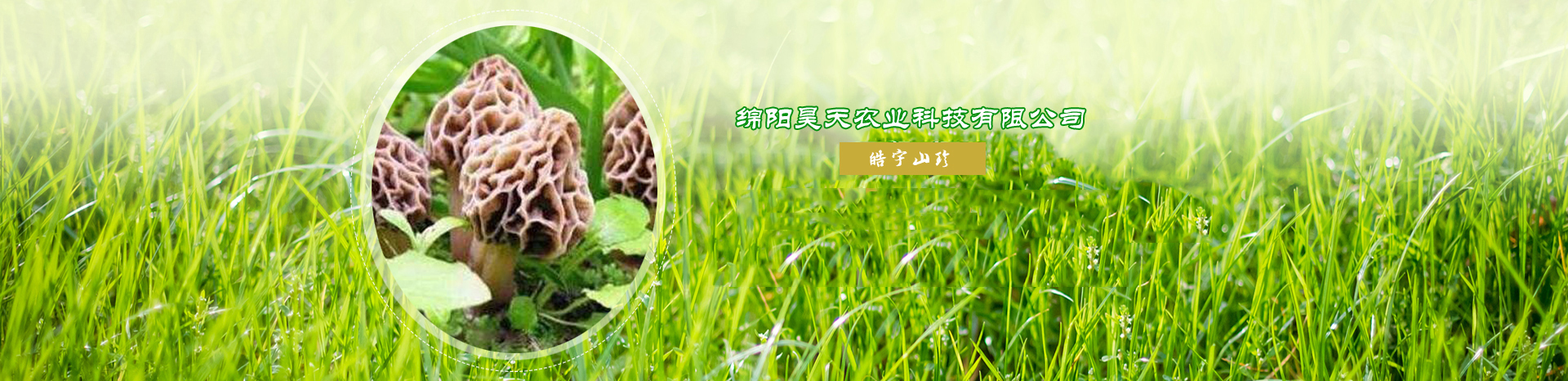 &#20061;&#28216;&#23448;&#26041;&#32593;&#39029;&#29256;&#45;&#20061;&#28216;&#40;&#20013;&#22269;&#41;