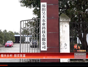 &#20061;&#28216;&#23448;&#26041;&#32593;&#39029;&#29256;&#45;&#20061;&#28216;&#40;&#20013;&#22269;&#41;