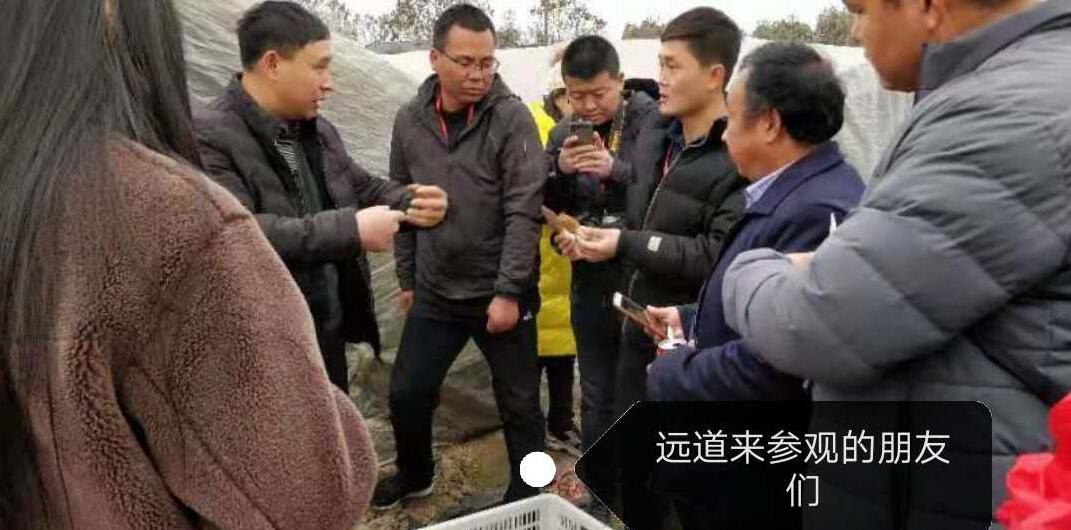 &#20061;&#28216;&#23448;&#26041;&#32593;&#39029;&#29256;&#45;&#20061;&#28216;&#40;&#20013;&#22269;&#41;
