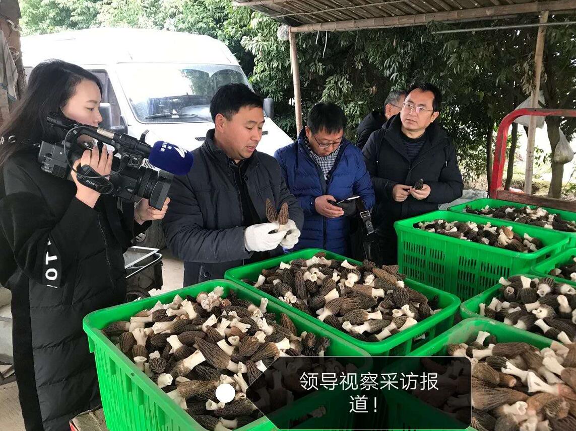 &#20061;&#28216;&#23448;&#26041;&#32593;&#39029;&#29256;&#45;&#20061;&#28216;&#40;&#20013;&#22269;&#41;