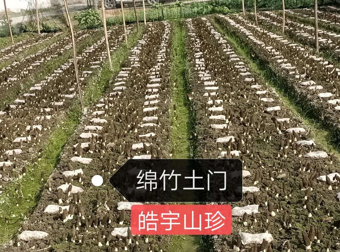 &#20061;&#28216;&#23448;&#26041;&#32593;&#39029;&#29256;&#45;&#20061;&#28216;&#40;&#20013;&#22269;&#41;