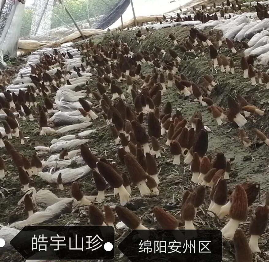 &#20061;&#28216;&#23448;&#26041;&#32593;&#39029;&#29256;&#45;&#20061;&#28216;&#40;&#20013;&#22269;&#41;