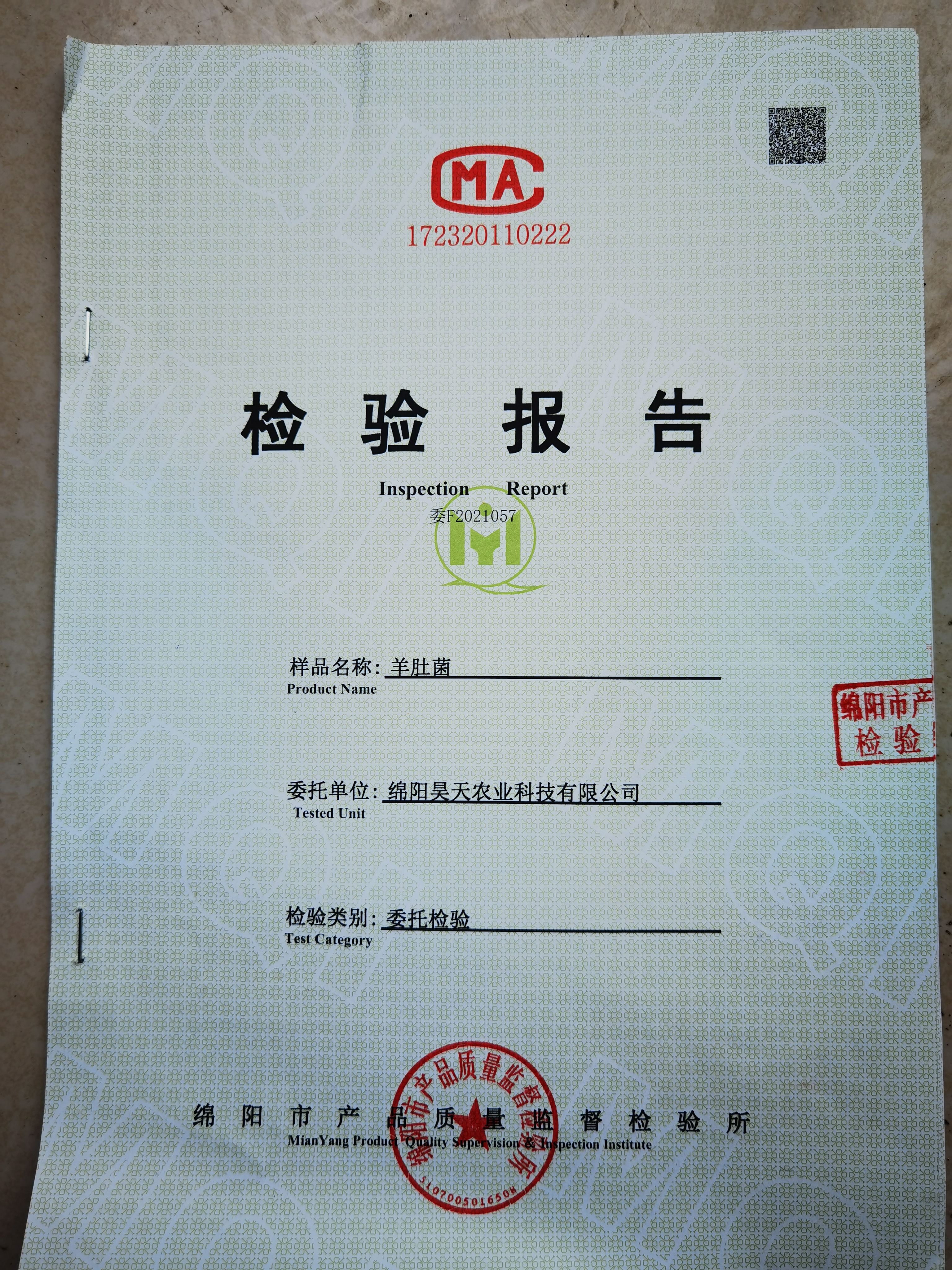 &#20061;&#28216;&#23448;&#26041;&#32593;&#39029;&#29256;&#45;&#20061;&#28216;&#40;&#20013;&#22269;&#41;